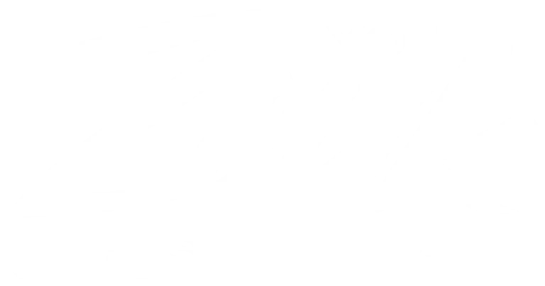 Logo LZF